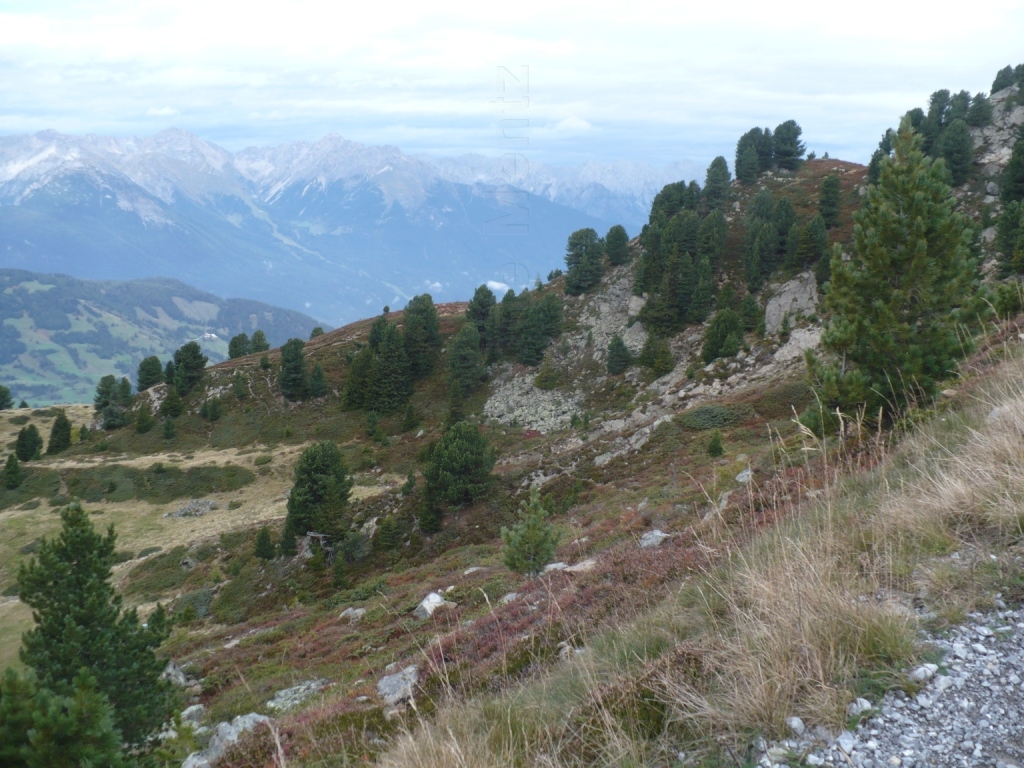 Images/2 Oesterreich_Pitztal_ (107).jpg